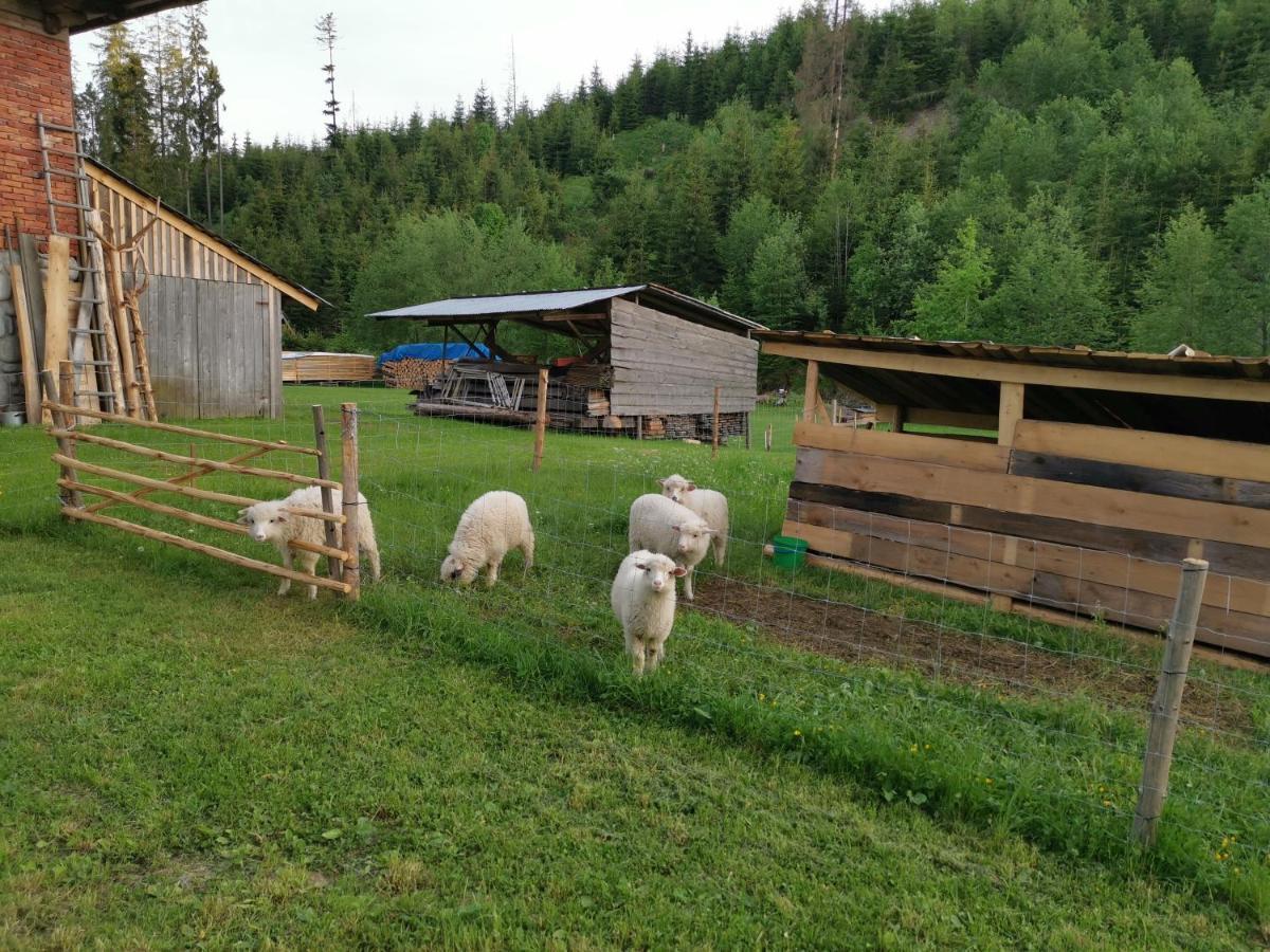 Pokoje Goscinne Pod Limbami Ciche Małe Exteriör bild